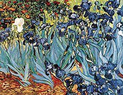 Irises-24x36 (Option: 2075~11x14_GC)