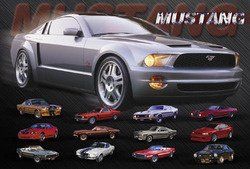 Mustang Evolution-16x20 (Option: 2477~24x36_CB)
